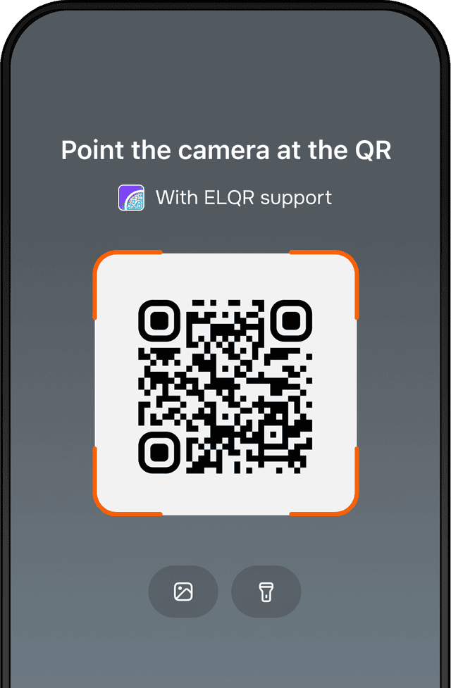 Изображение Payments and transfers via ELQR