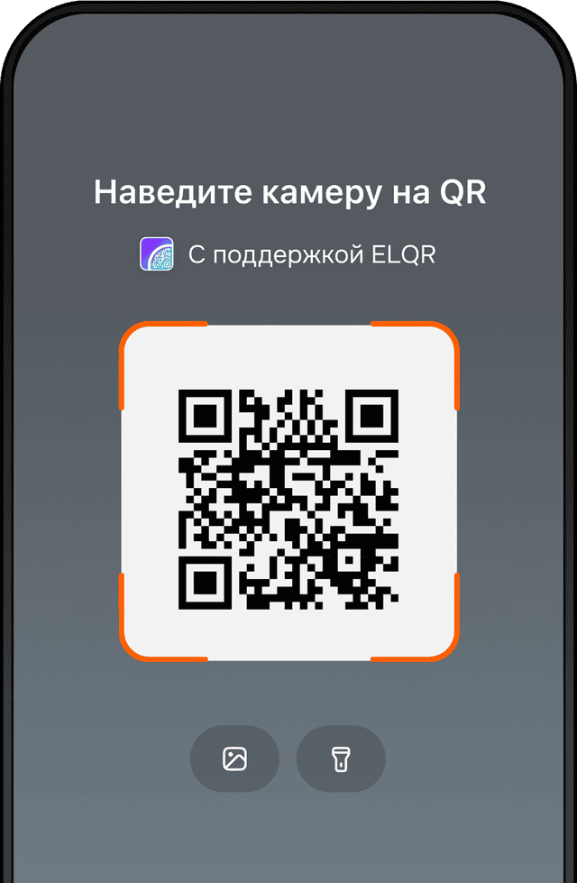 Изображение Оплата и переводы через ELQR